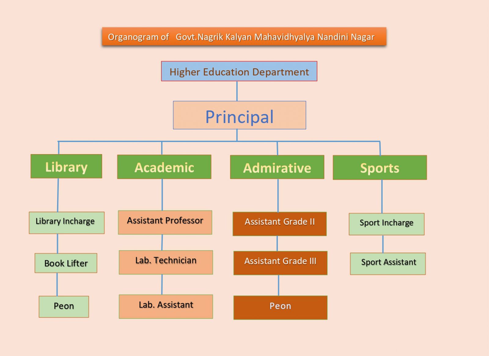 Organogram